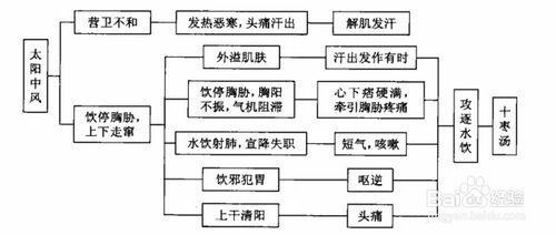 傷寒論考點重點疏理：[27]太陽病類似證