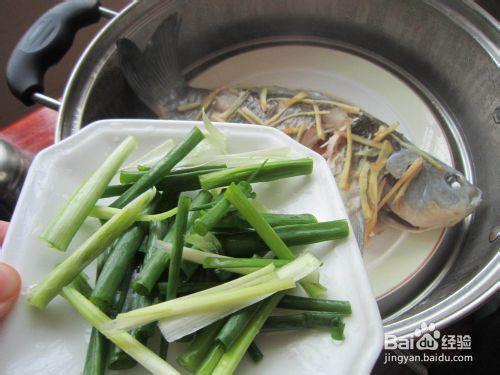 春天食鯽正當時——姜蔥蒸鯽魚