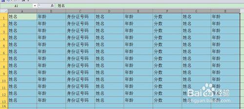 如何快速調整EXCEL行高與列寬