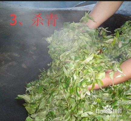 普洱茶傳統工業流程