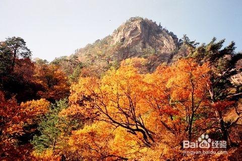 去韓國釜山旅遊什麼季節景色最美？