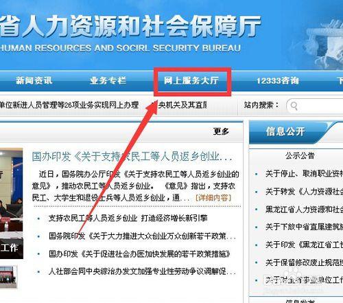 使用黑龍江省人力資源和社會保障網上服務大廳