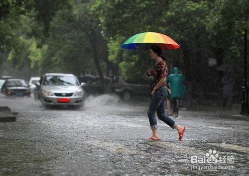 夏天遇到暴雨如何預防危險