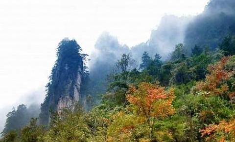 義烏雙林寺和佛雲山旅遊經驗