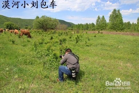 呼倫貝爾大草原周邊都哪裡好玩