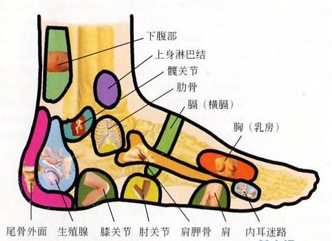 怎樣快速去痘痘