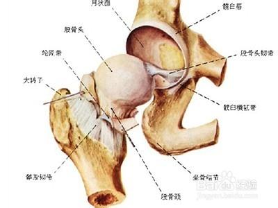 預防骨質增生和簡易治療方法