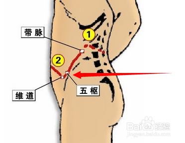 五樞穴位位置圖及作用