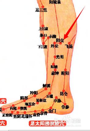 陽交穴位位置圖和作用