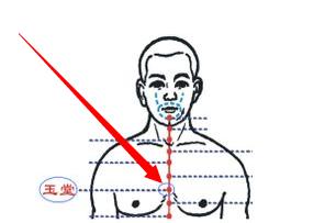 玉堂穴位位置圖及作用