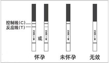 驗孕棒 （測早孕試紙）一深一淺