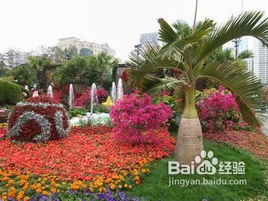 香港旅遊公園景點推薦/香港維多利亞公園攻略