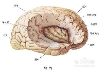 檢查一下自己是否中毒了