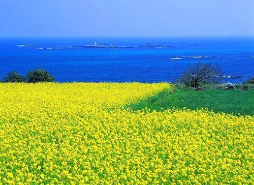 怎樣安排上海到韓國5日遊行程