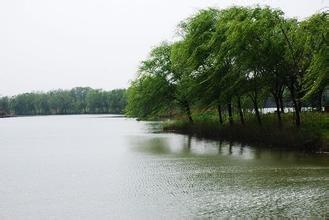 阜陽西湖的旅遊指南