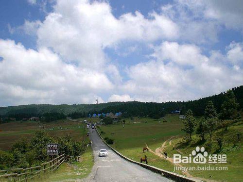 五一國際勞動節重慶周邊仙女山旅遊攻略