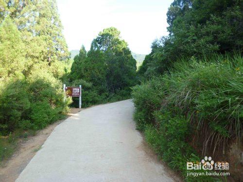 河南登封少林寺景點