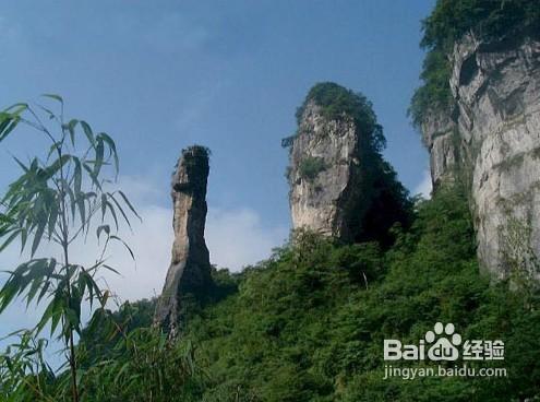 重慶周邊旅遊—金佛山、古佛洞、生態石林一日遊