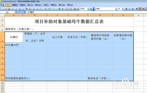 怎麼製作《項目補助對象基礎母牛項目彙總表》