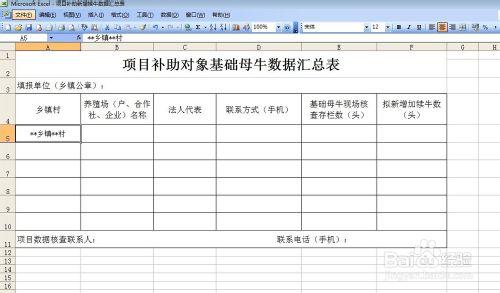 怎麼製作《項目補助對象基礎母牛項目彙總表》