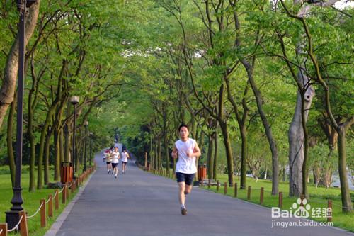 如何過暑假，暑假生活應該怎麼安排