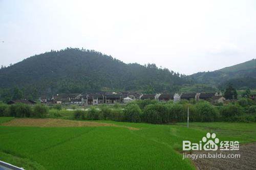 郴州龍女溫泉周邊景點吃飯地點