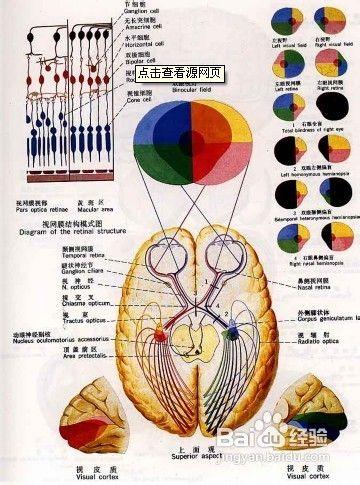 癲癇病最新的治療方法