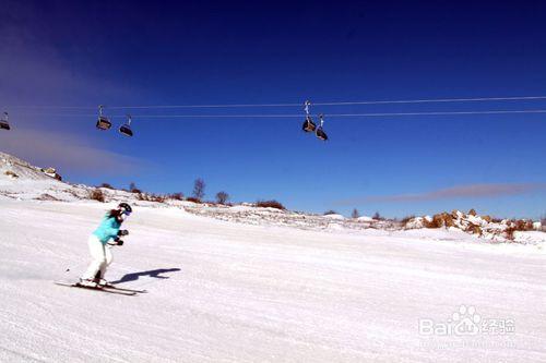 高山滑雪技巧