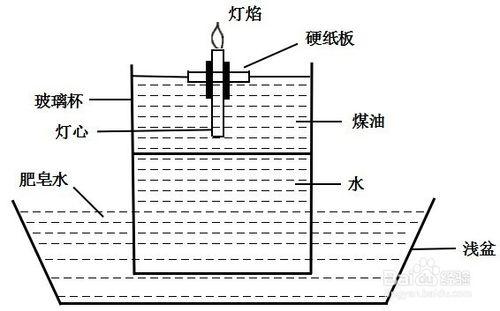 如何用物理的辦法滅跳蚤