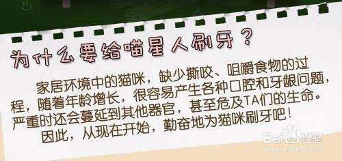 怎樣為貓咪刷牙？