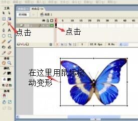 flash製作蝴蝶飛舞的動畫
