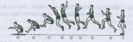 立定跳遠考試技巧與日常鍛鍊