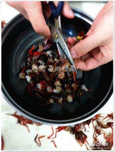瘋狂的蝦球--怎麼做麻辣鮮香的小龍蝦
