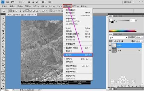 科研電鏡圖片上標尺的添加方法經驗分享