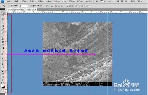 科研電鏡圖片上標尺的添加方法經驗分享