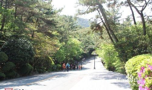 釜山太宗臺旅遊攻略