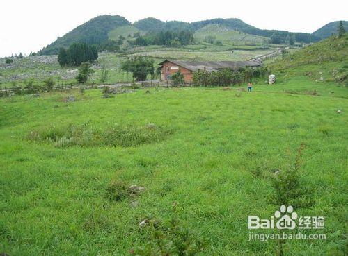 重慶周邊旅遊—黃水草場、大風堡二日遊