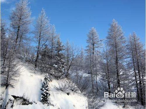 法國霞慕尼，冬季登山滑雪攻略