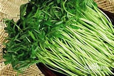 什麼樣的野菜可以吃