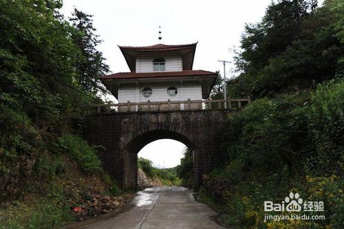 正山小種的產地