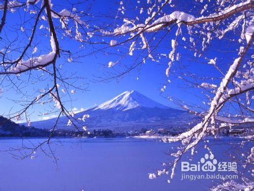 【走進日本】帶你領略日本的四季美