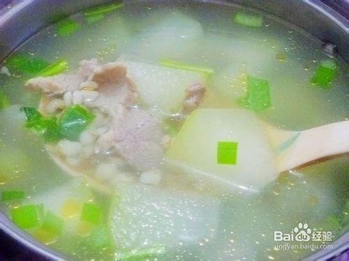 【養生湯煲】薏米冬瓜肉片湯