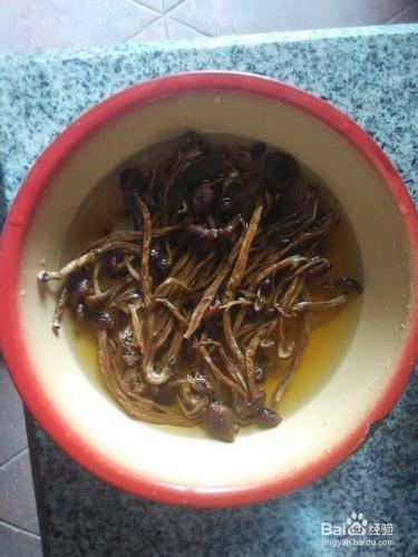 茶樹菇燉排骨（龍骨）