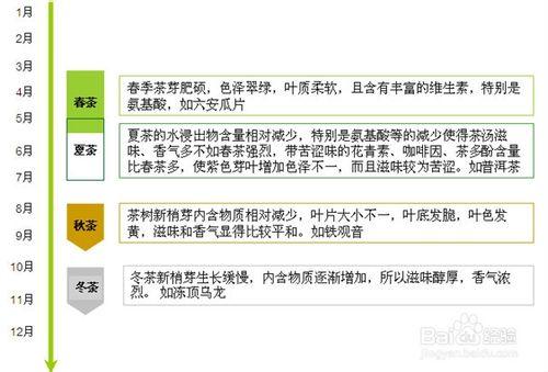 行業分析報告：[38]茶葉種植行業發展分析篇