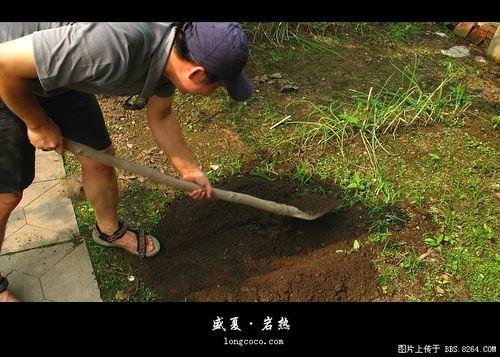 怎樣在戶外製作叫花雞