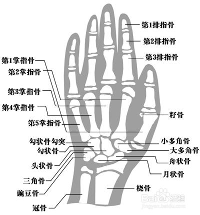 怎麼測骨齡？