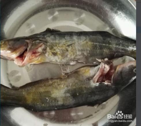 清燉黃顙魚豆腐湯