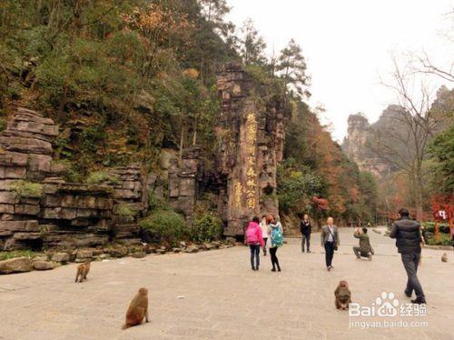 張家界旅行攻略及旅行必備品