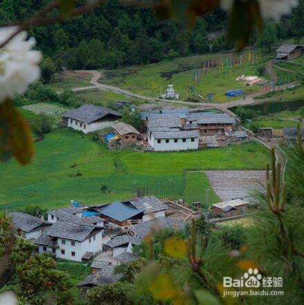 教你徒步雨崩