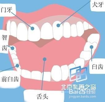 牙齒細菌，可不是讓你陣痛這麼簡單！！！